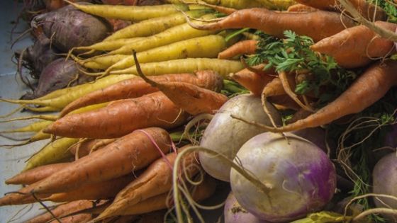 Earth Regeneration for Human Health