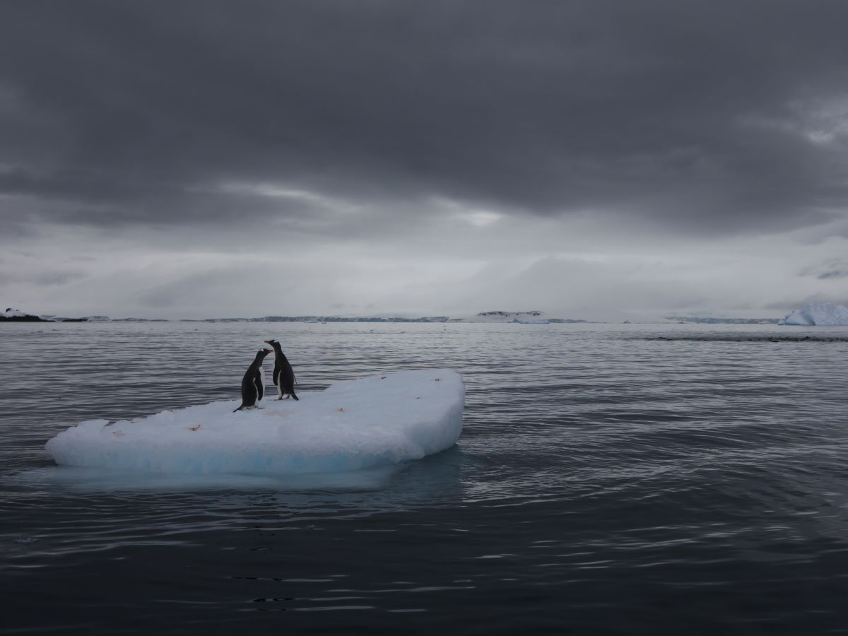 Earth may be in crisis, but we can still choose our future: UNEP GEO-7