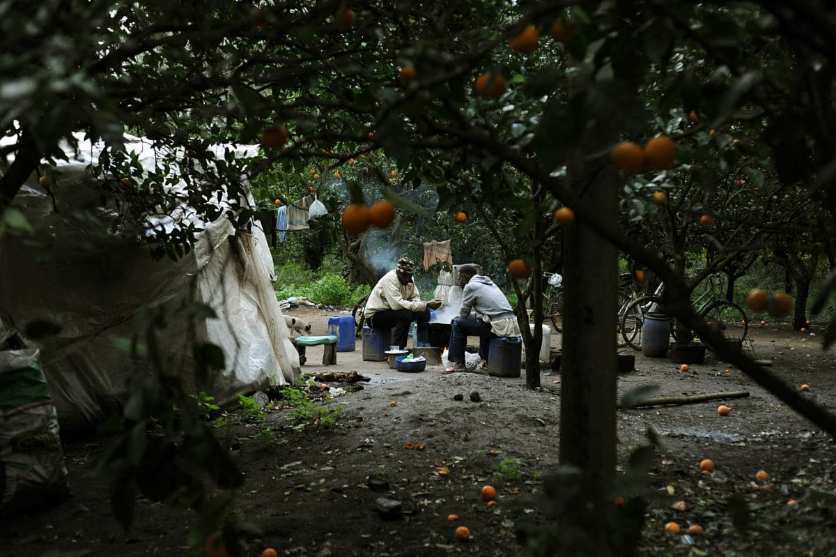 Serfs: the hidden cost of food in global supply chains
