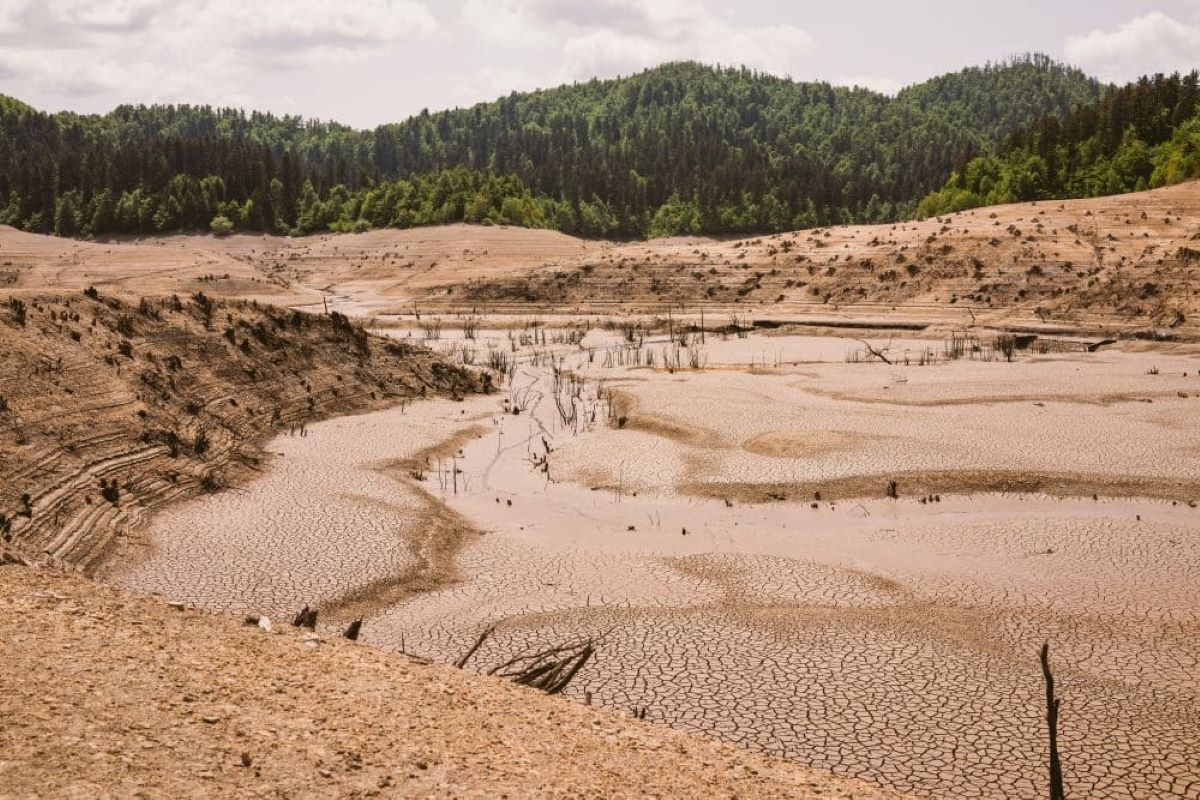 COP16 Desertification, UNCCD and JRC publish World Drought Atlas