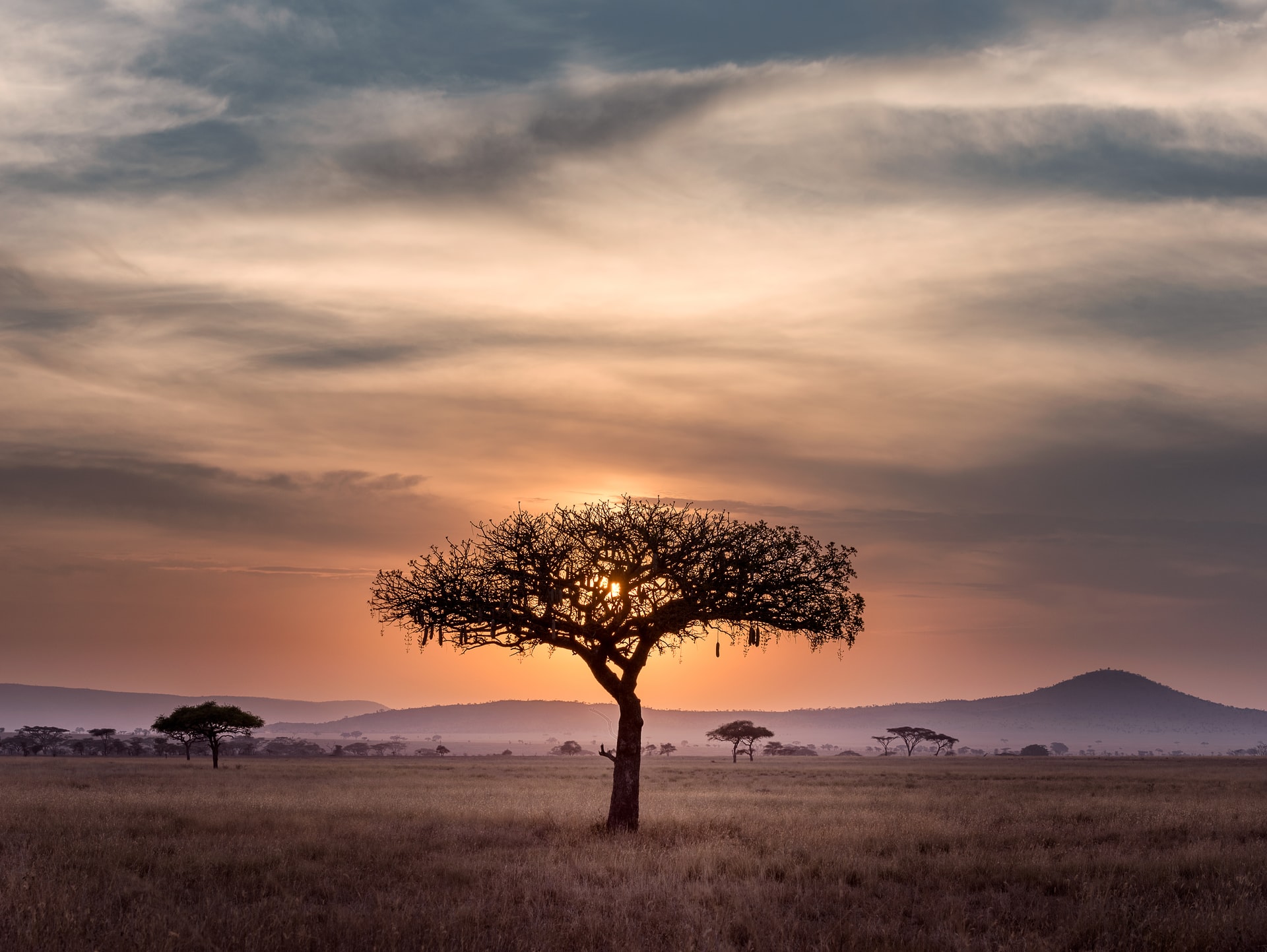 RenewAfrica, the public-private partnership for renewable energy in Africa