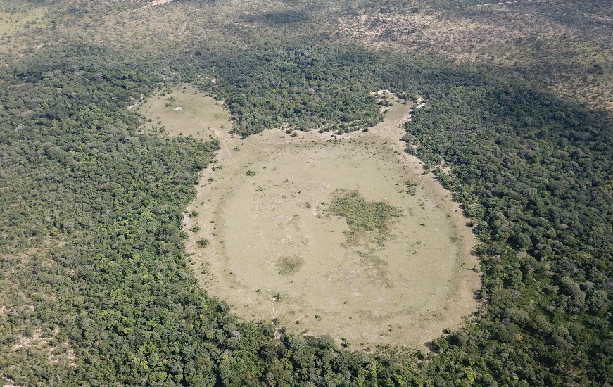 Natural hydrogen: a geological curiosity or the primary energy source for a low-carbon future?