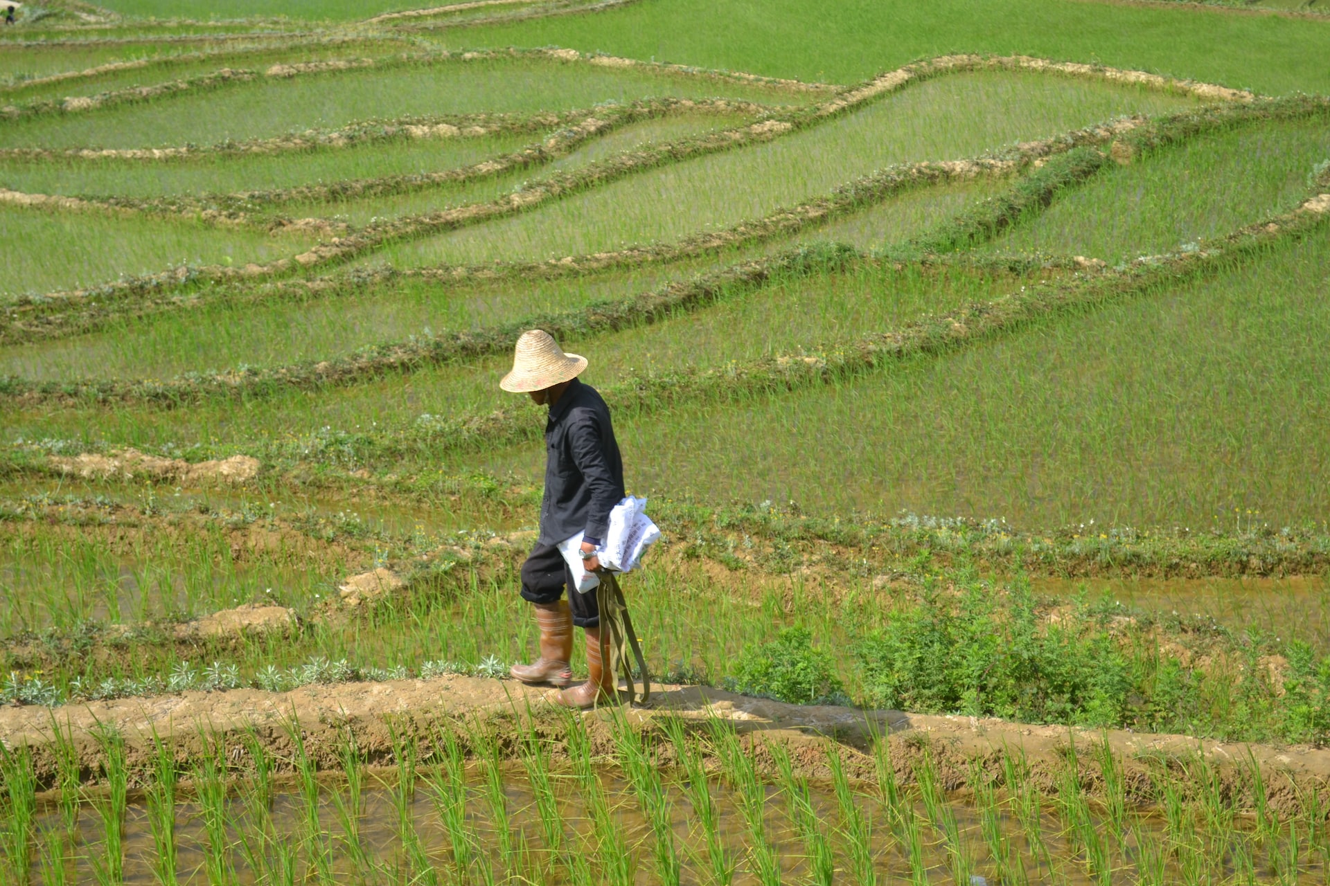 Contro l’erosione, la Cina lancia la campagna del suolo nero