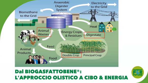 DigestoreAnaerobico CIB