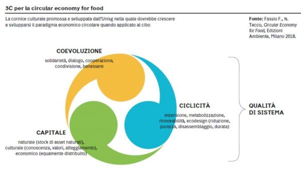 Grafico 3C