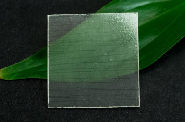 TrasparentWood alternativaPlexiglass