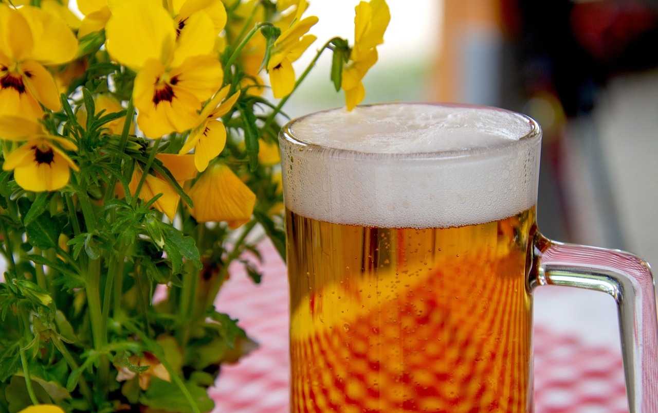Birra prodotta con acque di scarico: l'idea per sensibilizzare sulla scarsità idrica