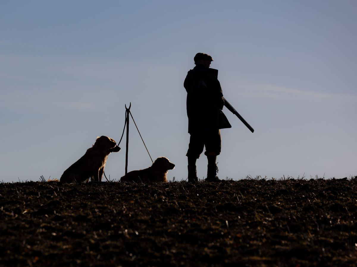 Caccia, il DDL rallenta ma gli emendamenti più controversi restano sul tavolo