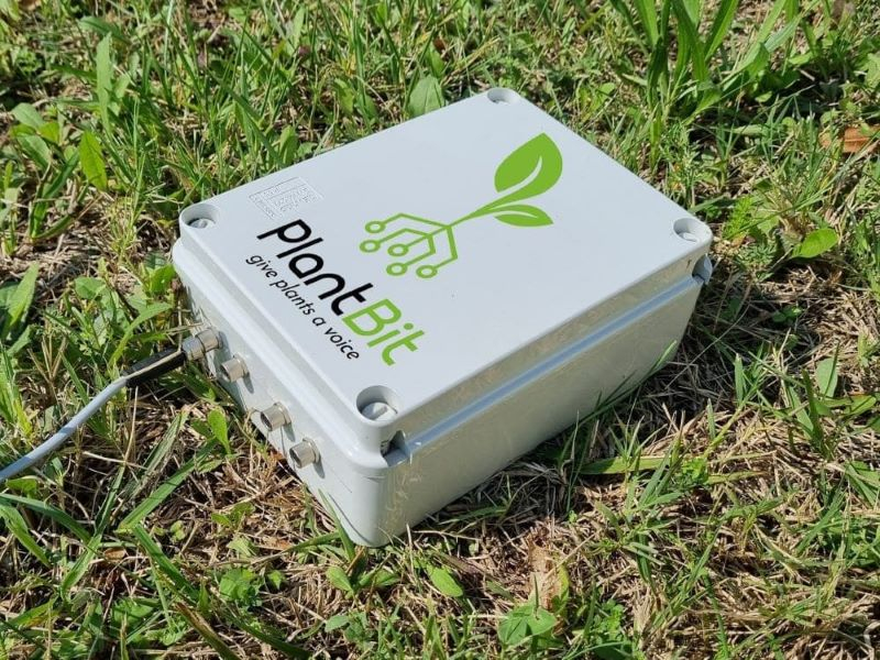 Startup, PlantBit: sensors to optimize irrigation and fertilization of plants