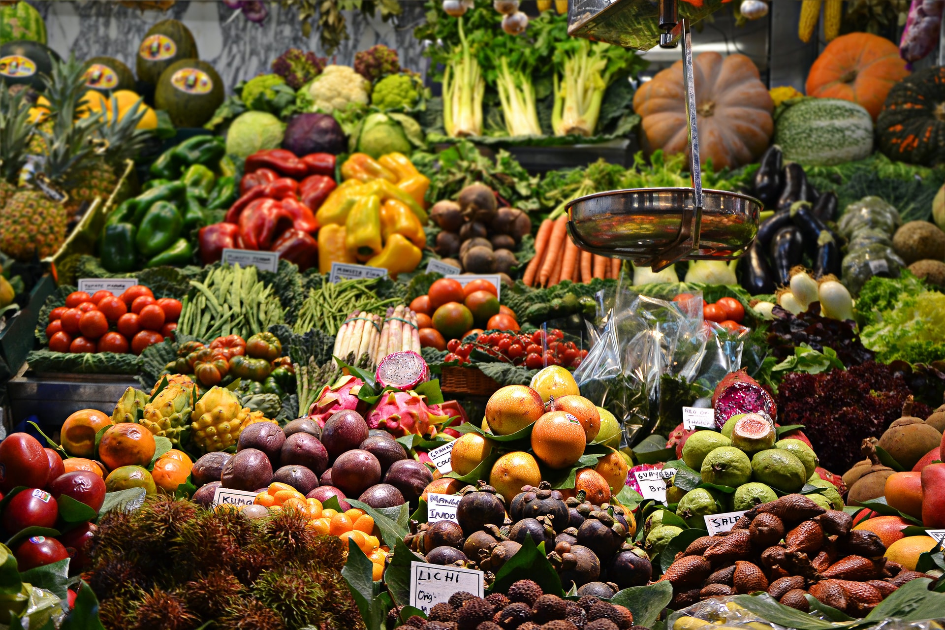 Circular Economy for Food: Value Connections Amongst Food, Humankind, and the Planet