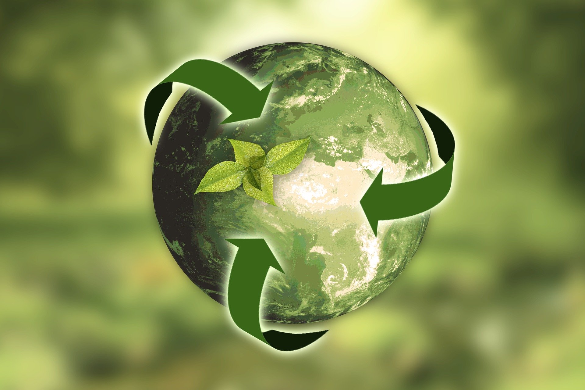 Ellen MacArthur Foundation: a Manifesto for Circular Recovery