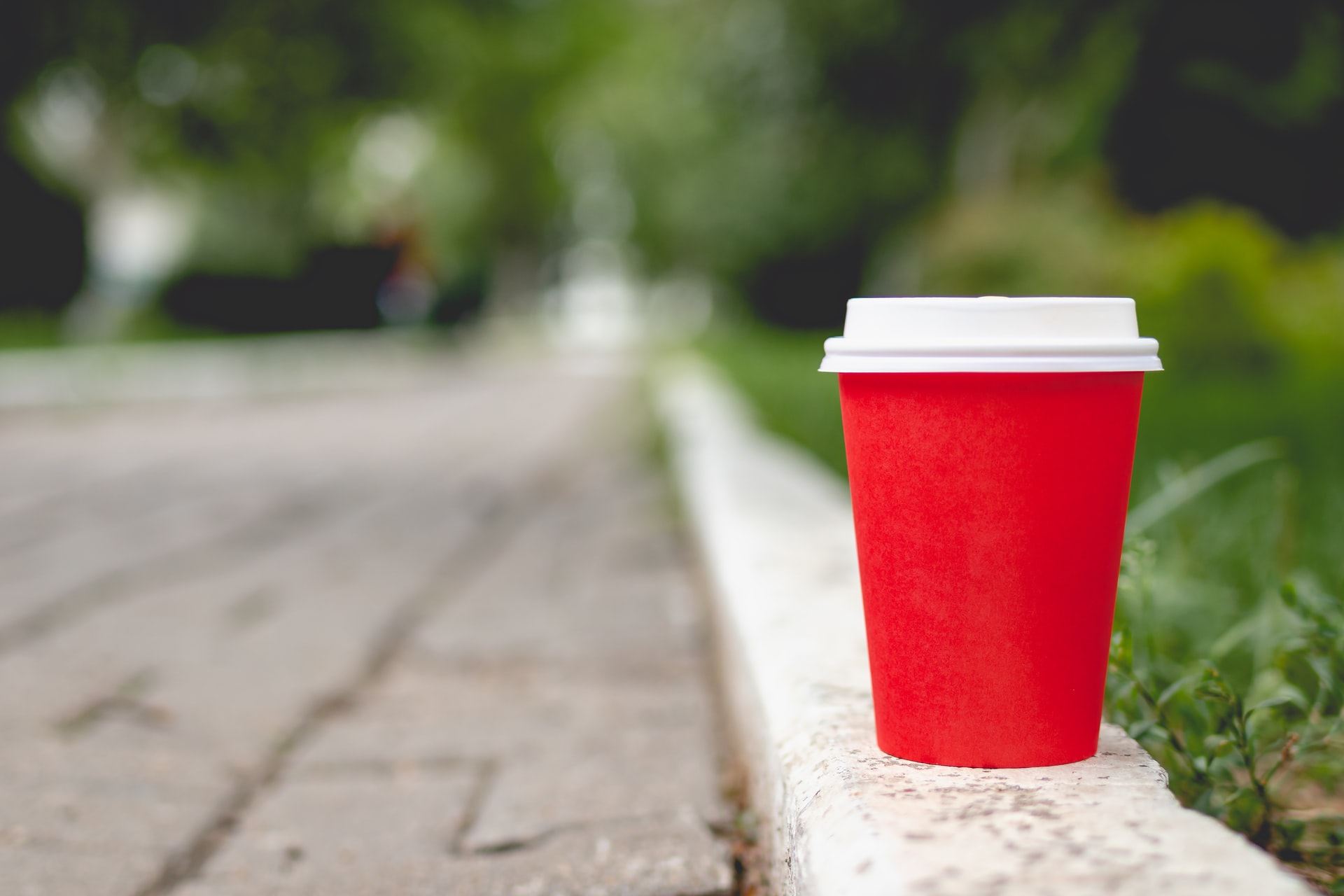 Germany wants to charge suppliers of throwaway items for abandoned waste