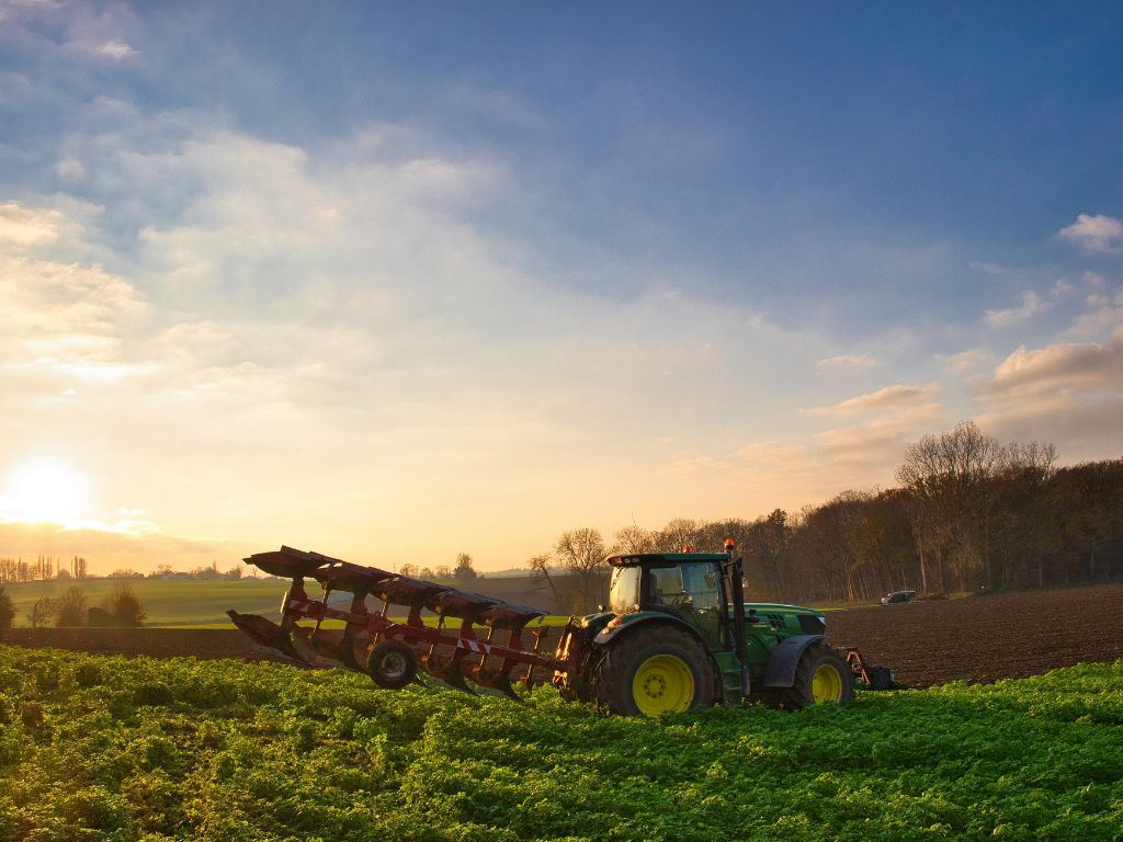 Coltivaitalia: il piano del Governo per un'agricoltura più autonoma, giovane e tecnologica