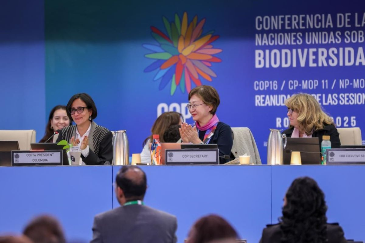 COP16 biodiversity Rome: 200 billion dollars for nature and how to mobilise them
