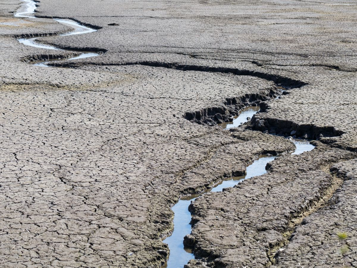 Copernicus: il 2025 è stato il terzo anno più caldo mai registrato