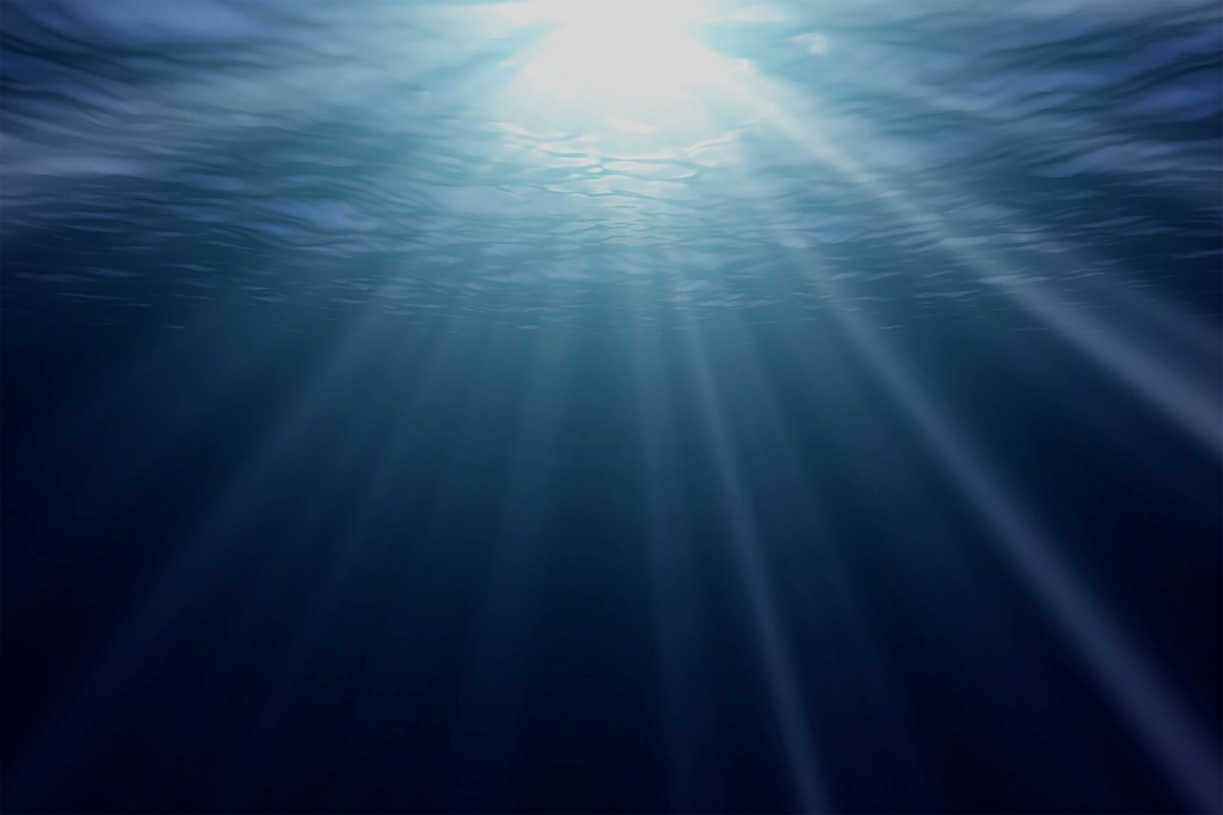 Deep Sea Mining, the Abyss Rush