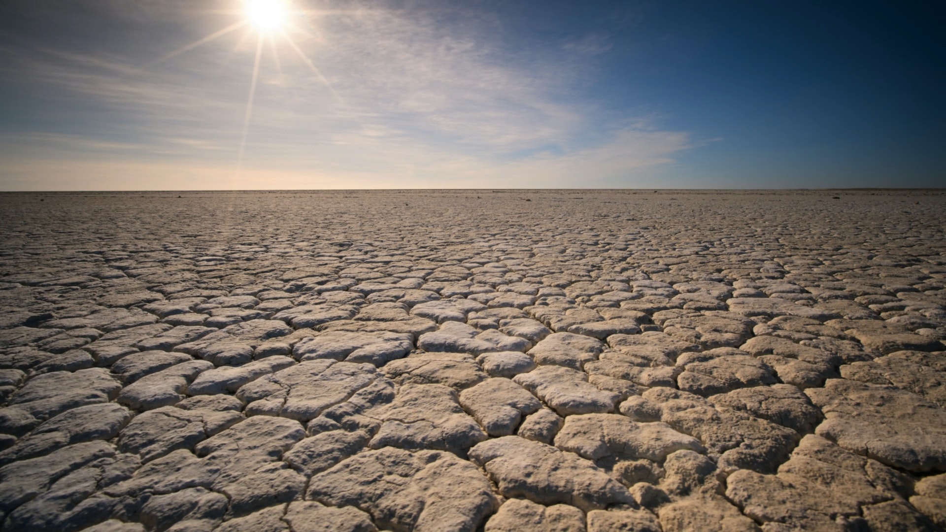 Siccità e desertificazione: è questo il futuro che ci aspetta?