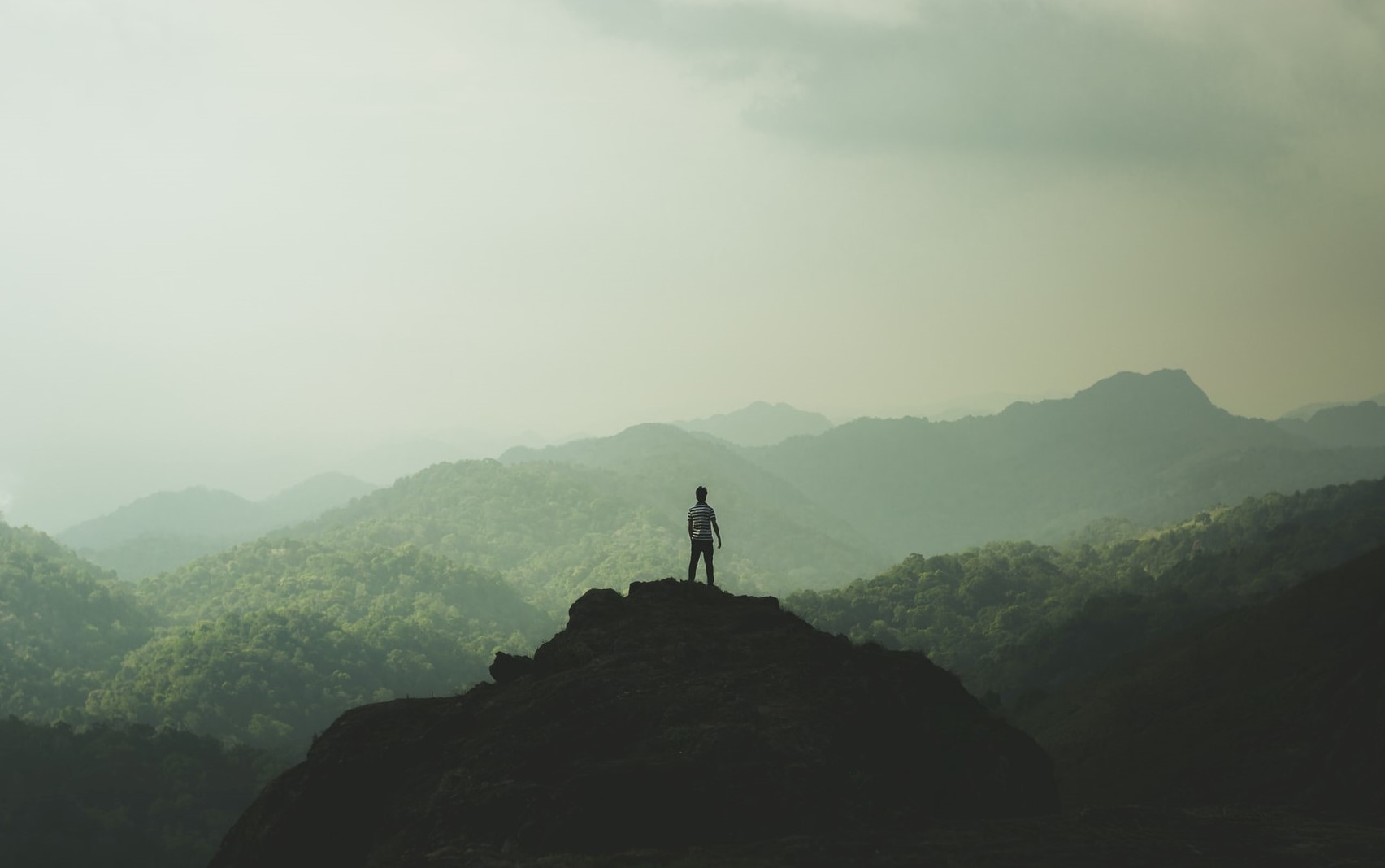 World Environment Day: conservation is no longer enough, it’s time for restoration