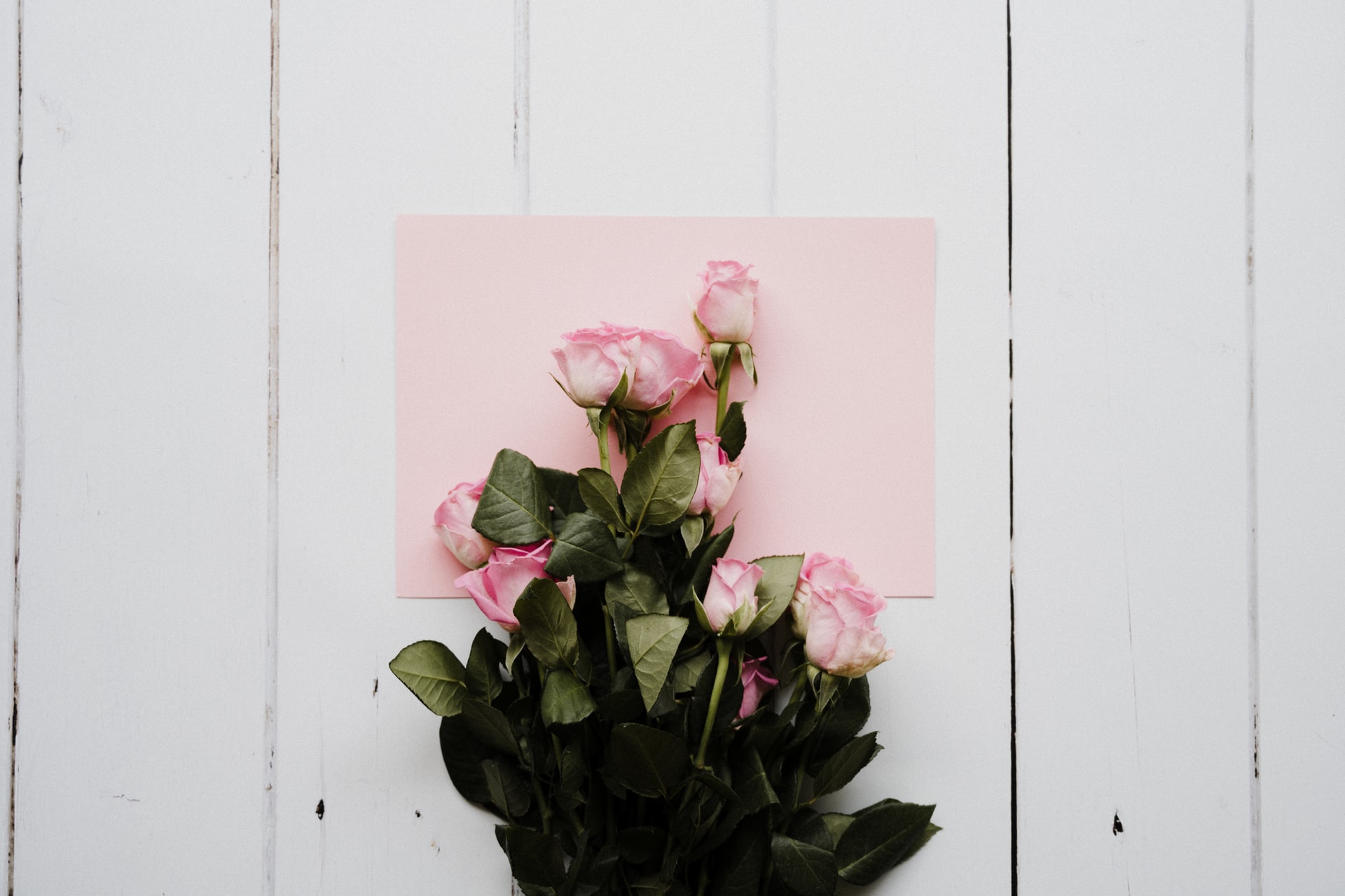 Fiori per San Valentino? Sì, ma sostenibili