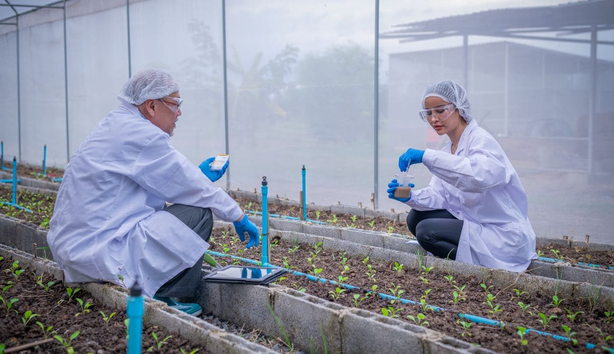 Giornata della bioeconomia 2025, un evento per la ricerca e l’industria