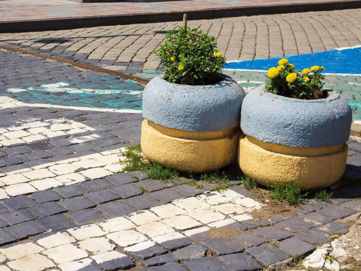 Giornata mondiale del suolo 2025: l’Italia divora il suo capitale naturale