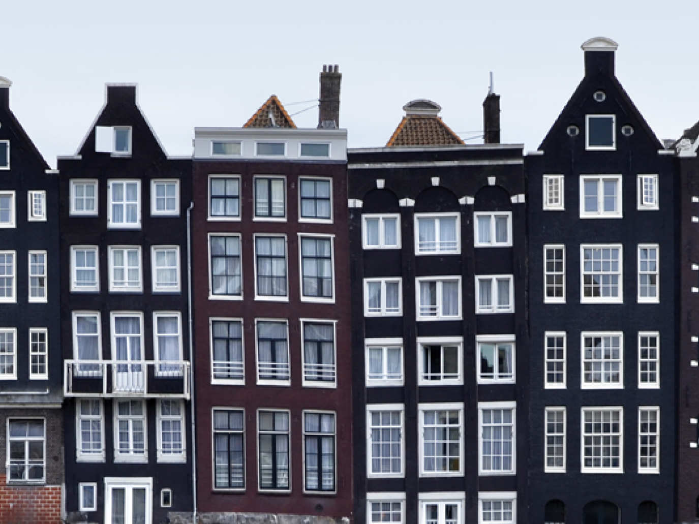 La ciambella arriva ad Amsterdam: come creare una città  fiorente per un pianeta fiorente