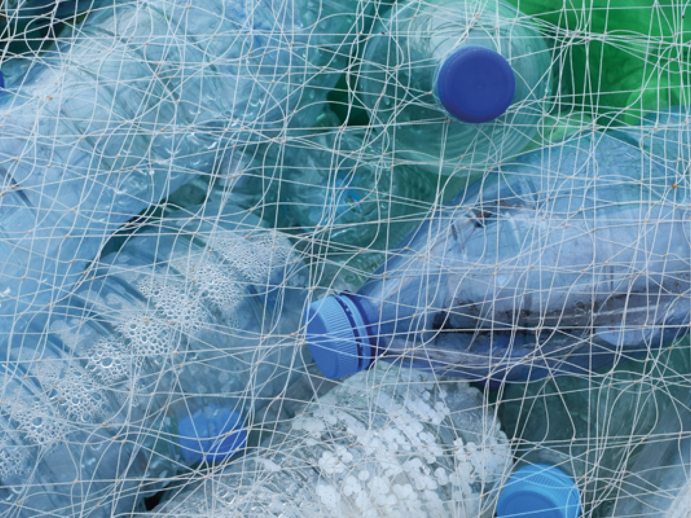 Fighting Single-Use Plastics