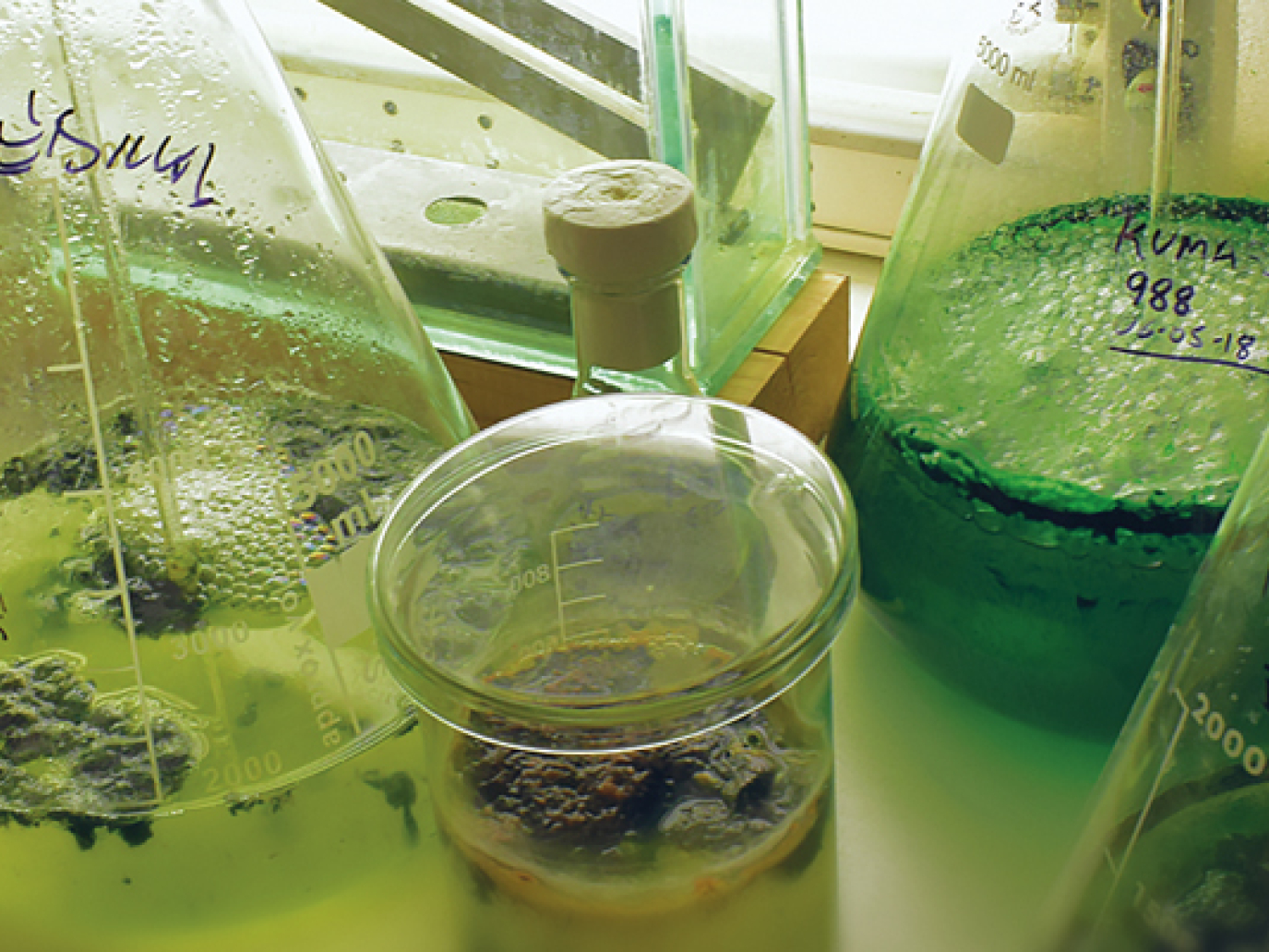 La via per uscire dalla crisi