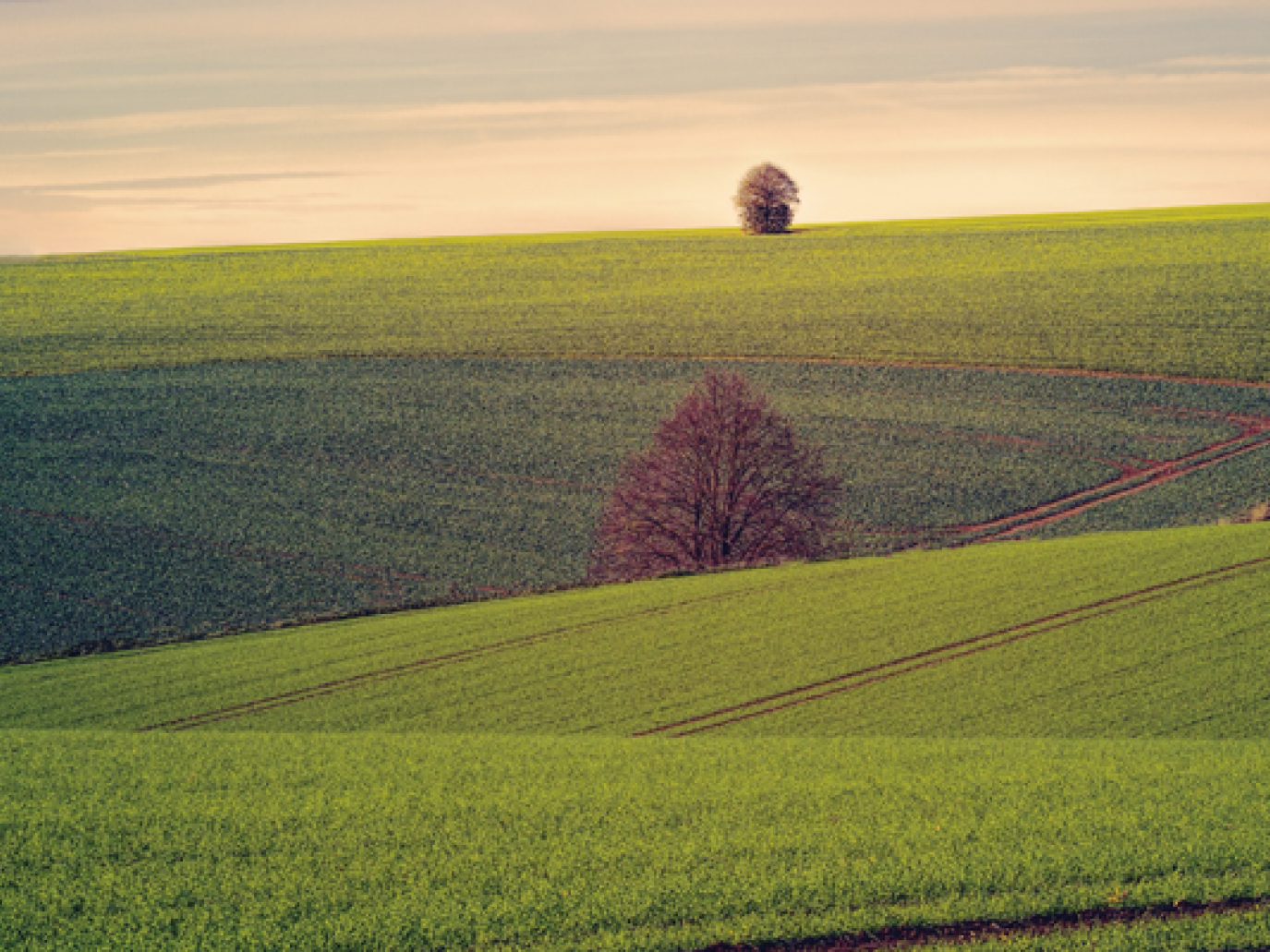 L'Italia ha una nuova strategia per la bioeconomia
