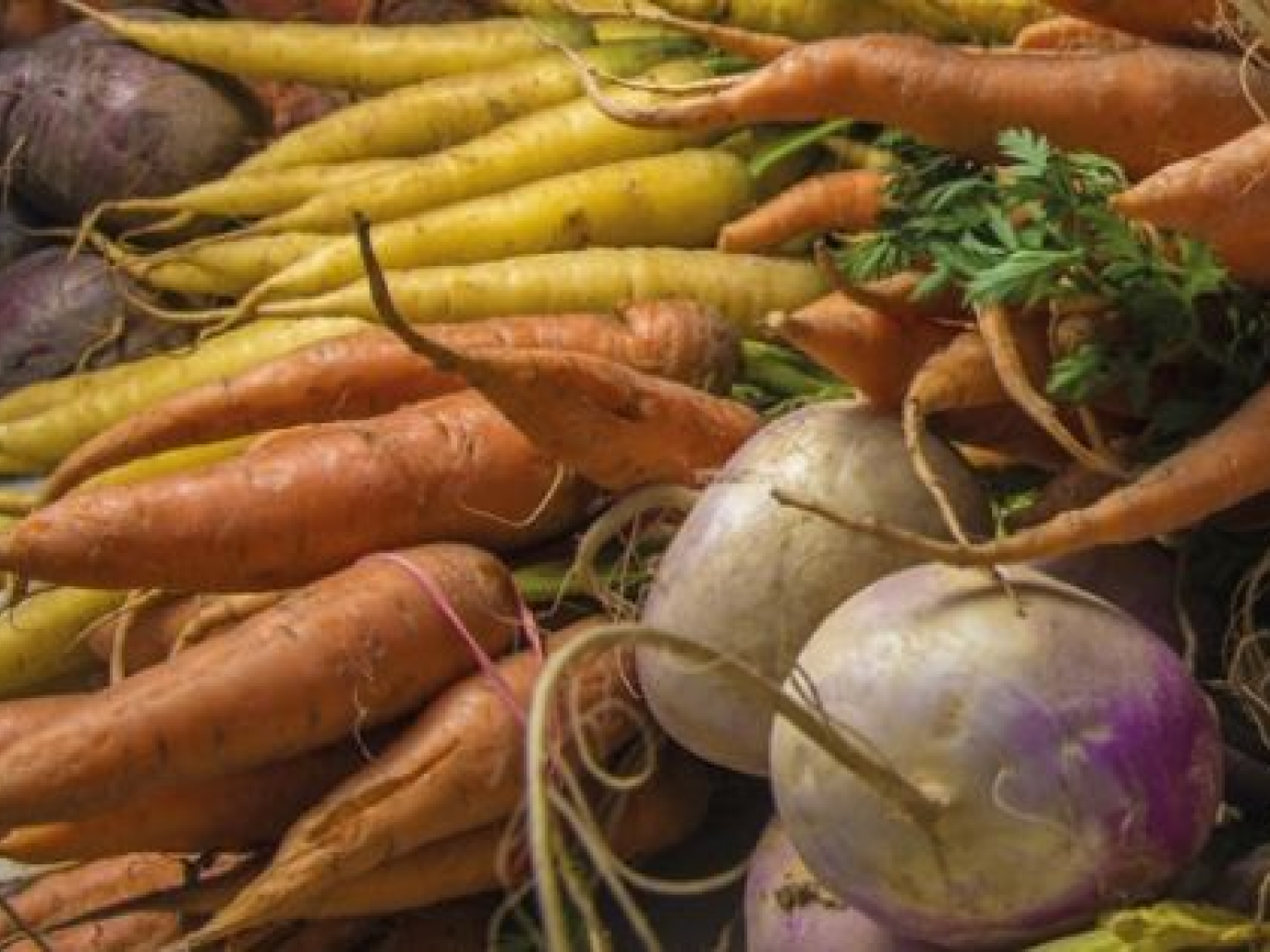 Earth Regeneration for Human Health