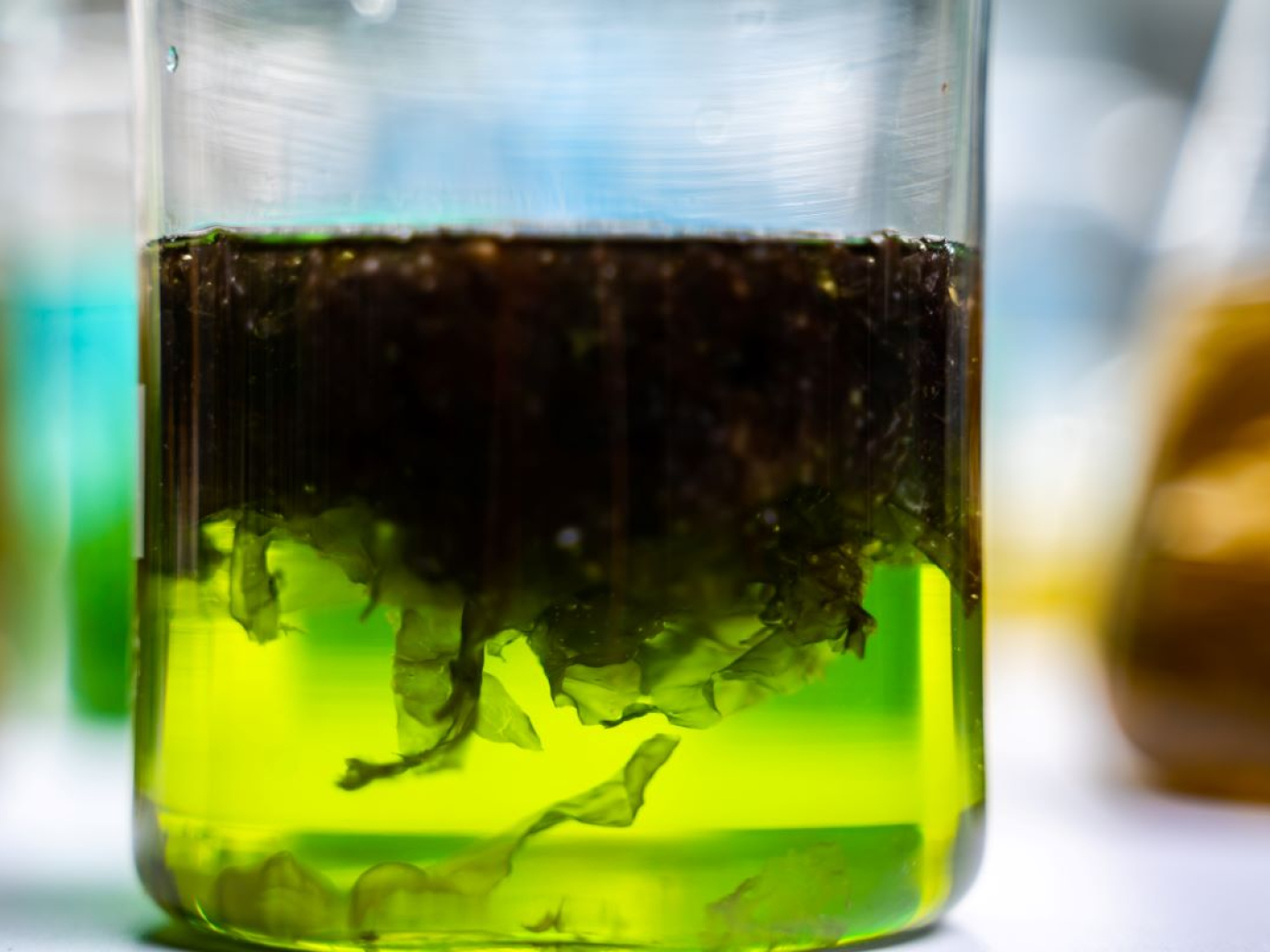 Startup: inks and pigments from algal waste with Living Ink