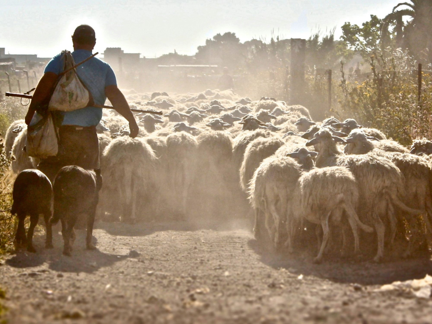 Drought in Sicily: what’s happening?