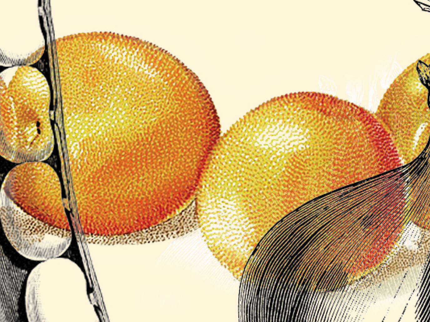 The Bio Plant is Growing Fast