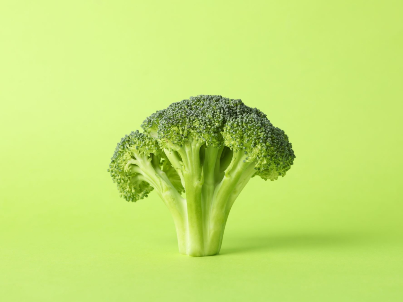 Startup: Broccoli, the Sharefunding Platform for Sustainable Food Companies