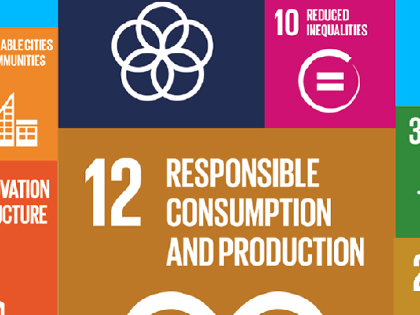 The Food System in the Circular Economy
