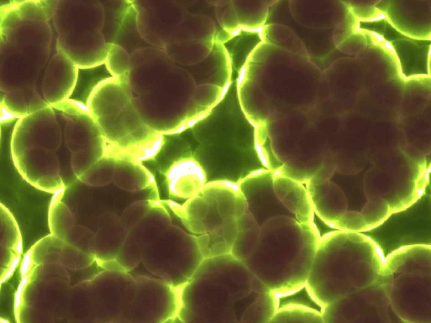 Carbon Smart Circular Economy