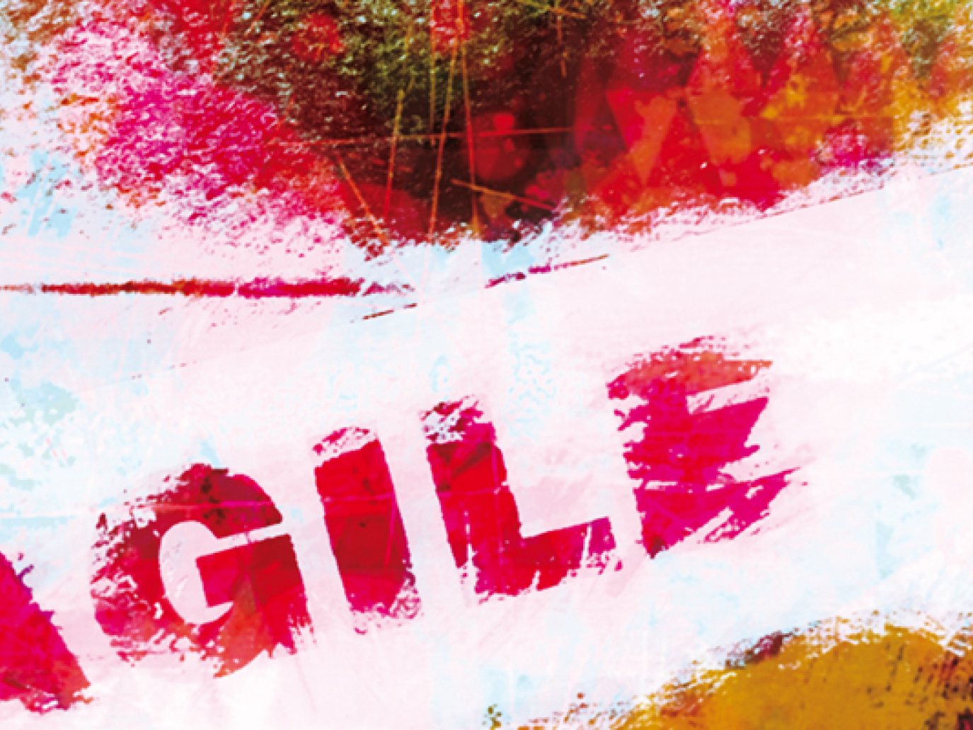 EPR as an Economic and Environmental Instrument