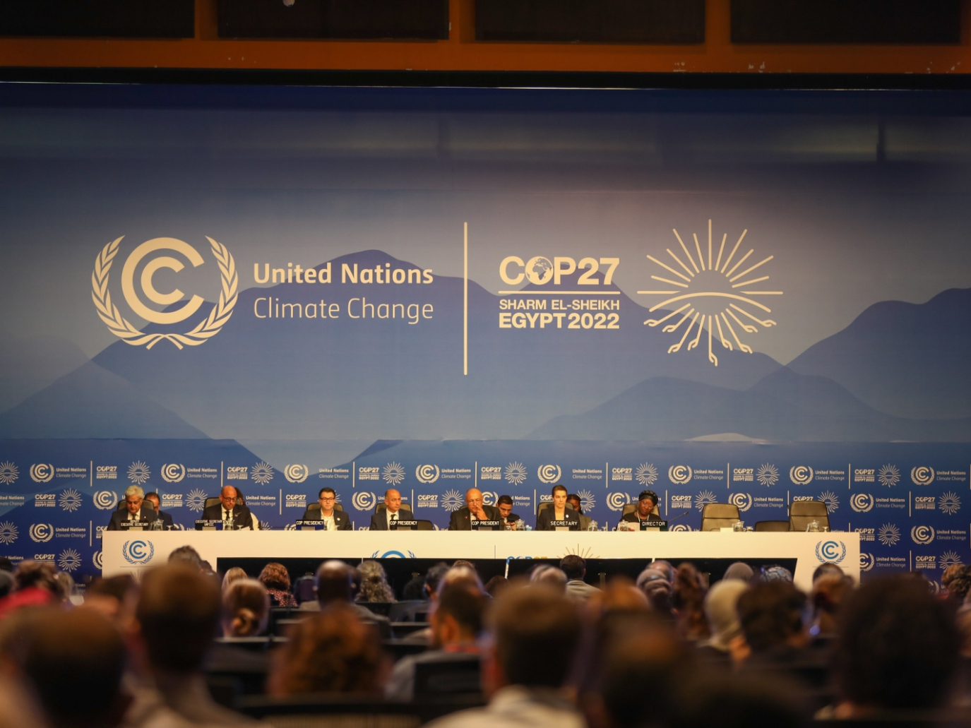 ESCLUSIVO: intervista al nuovo inviato speciale per il clima, Francesco Corvaro