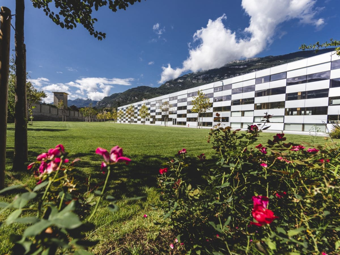 Gender equality: the Trentino model balancing welfare, education and transparency