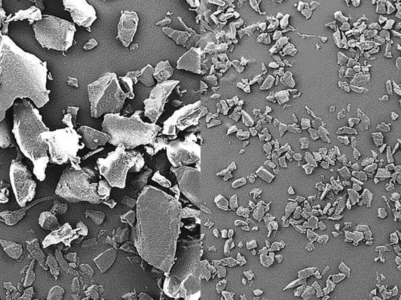 Biopolymers: In the Right Place