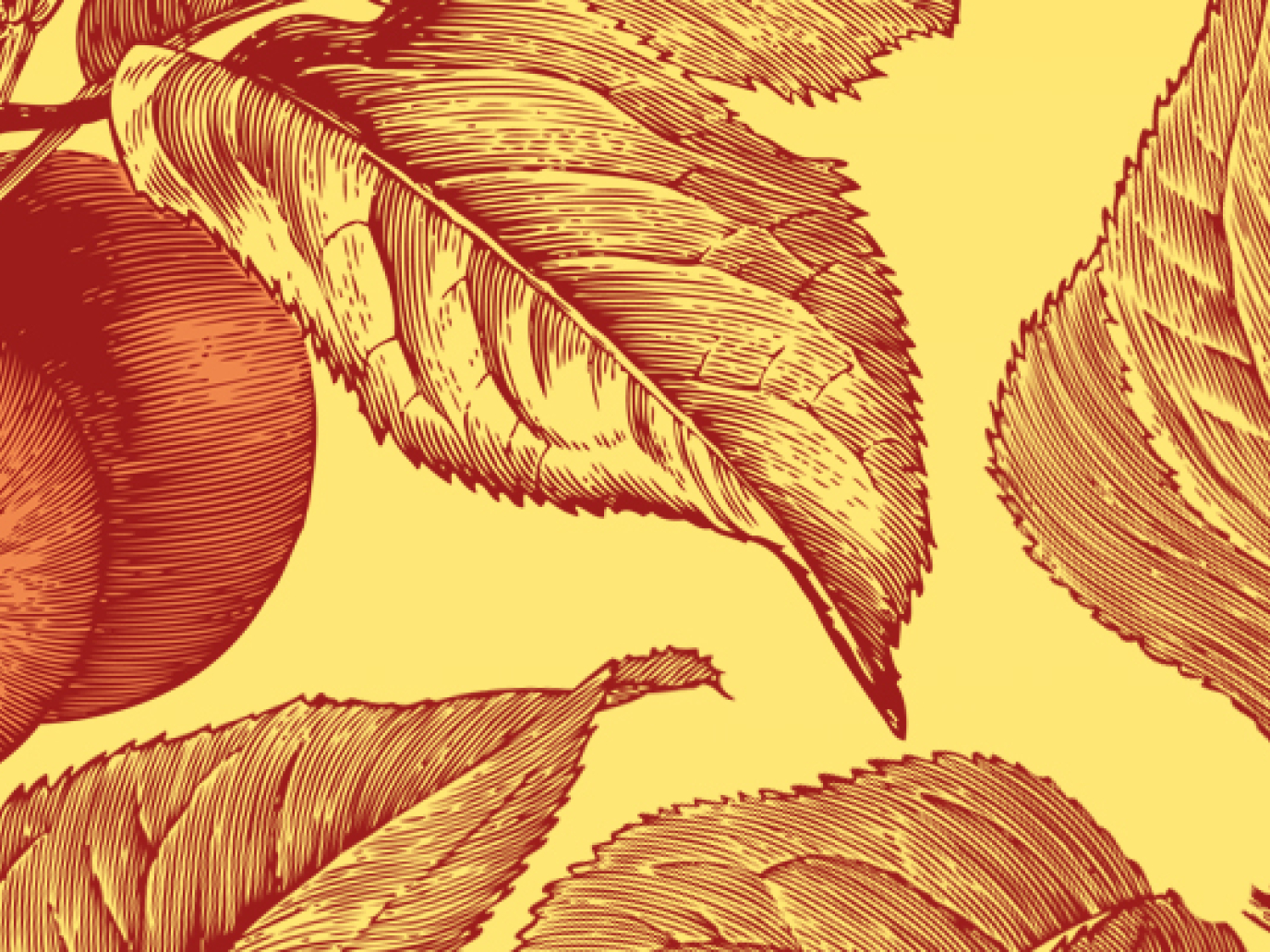 Packaging Management System: Assessing a Tree by its Fruits