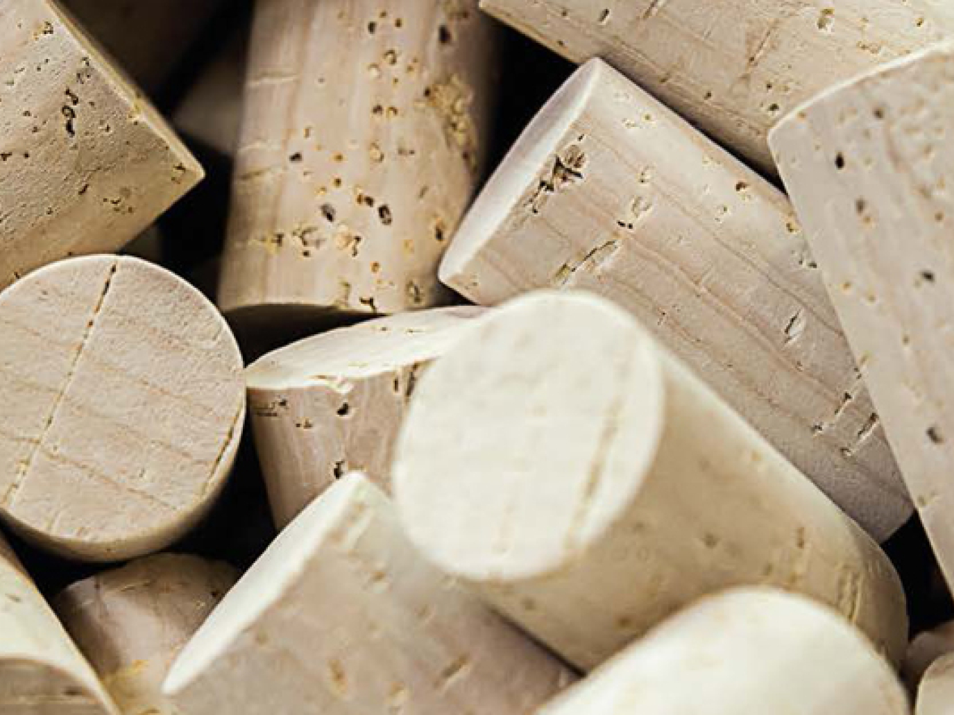 Tutti i segreti del tappo in sughero, circolare  per natura