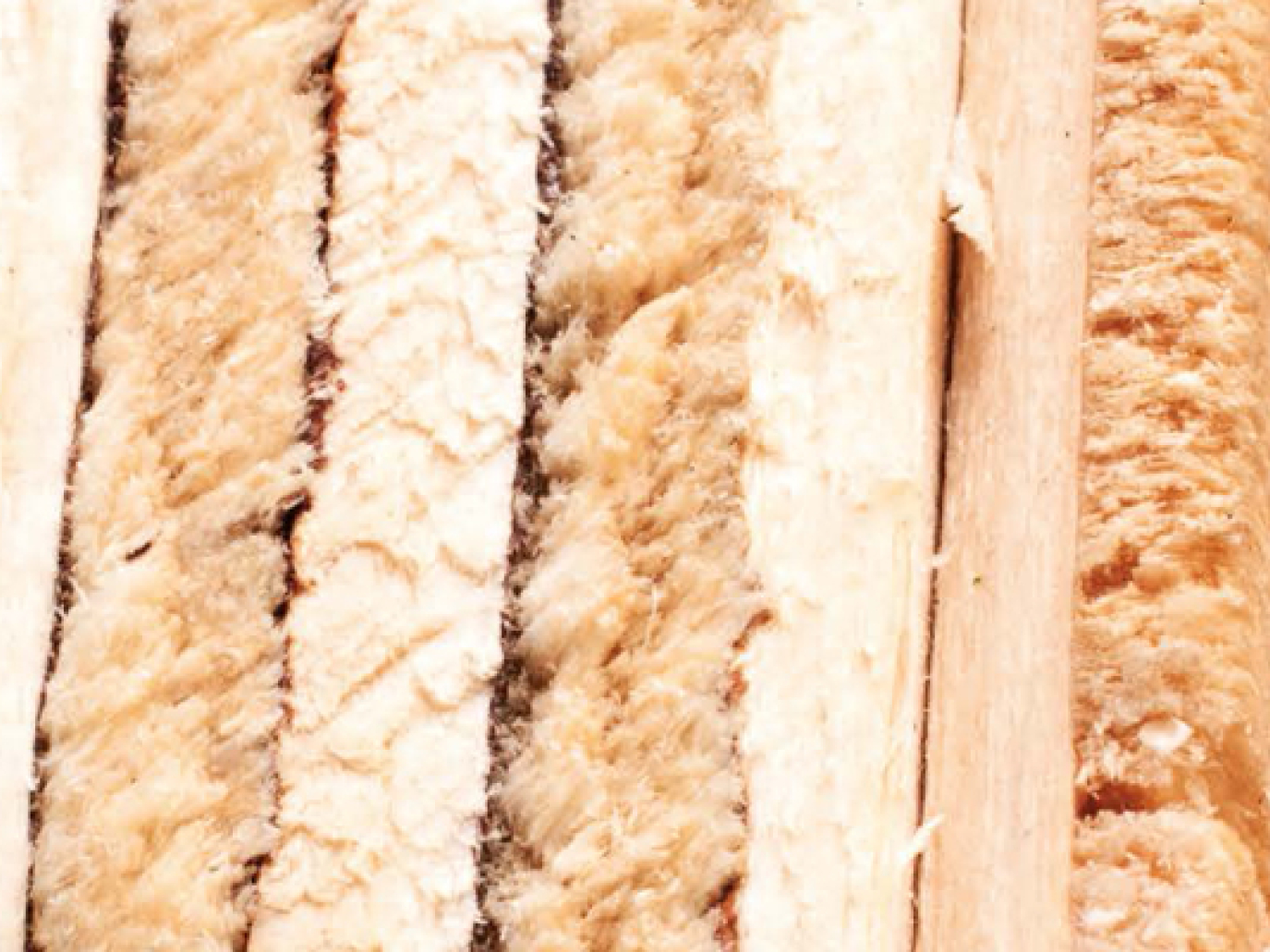 Acqua,  energia, materia e occupazione dagli pneumatici fuori uso