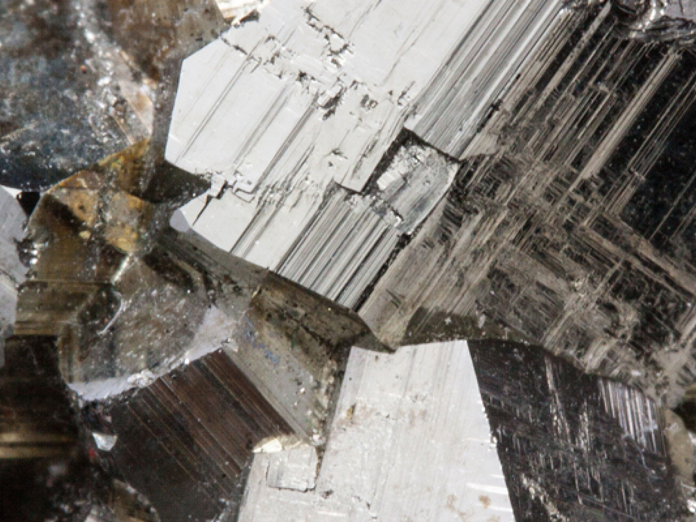 Elemental Sustainability