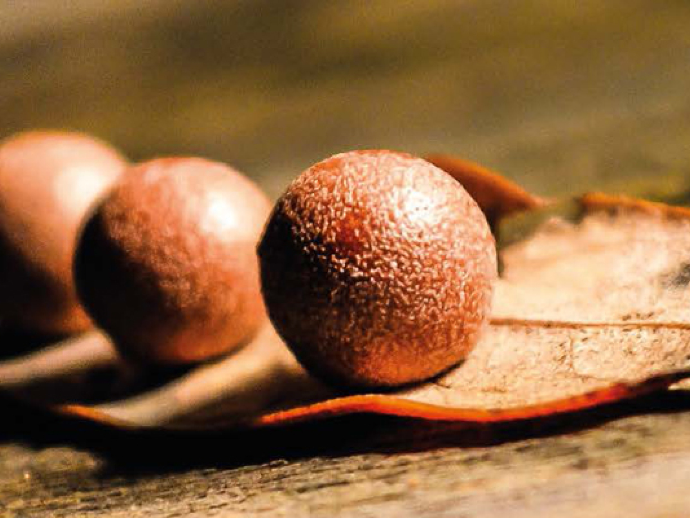 Fermare lo spreco di cibo