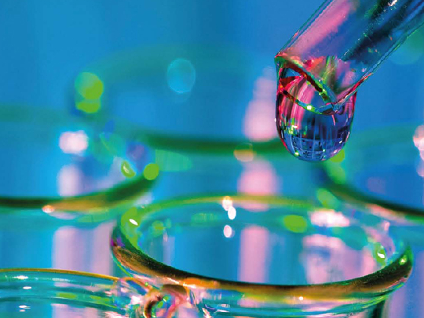 Employment, Research and Innovation for Sustainable Growth