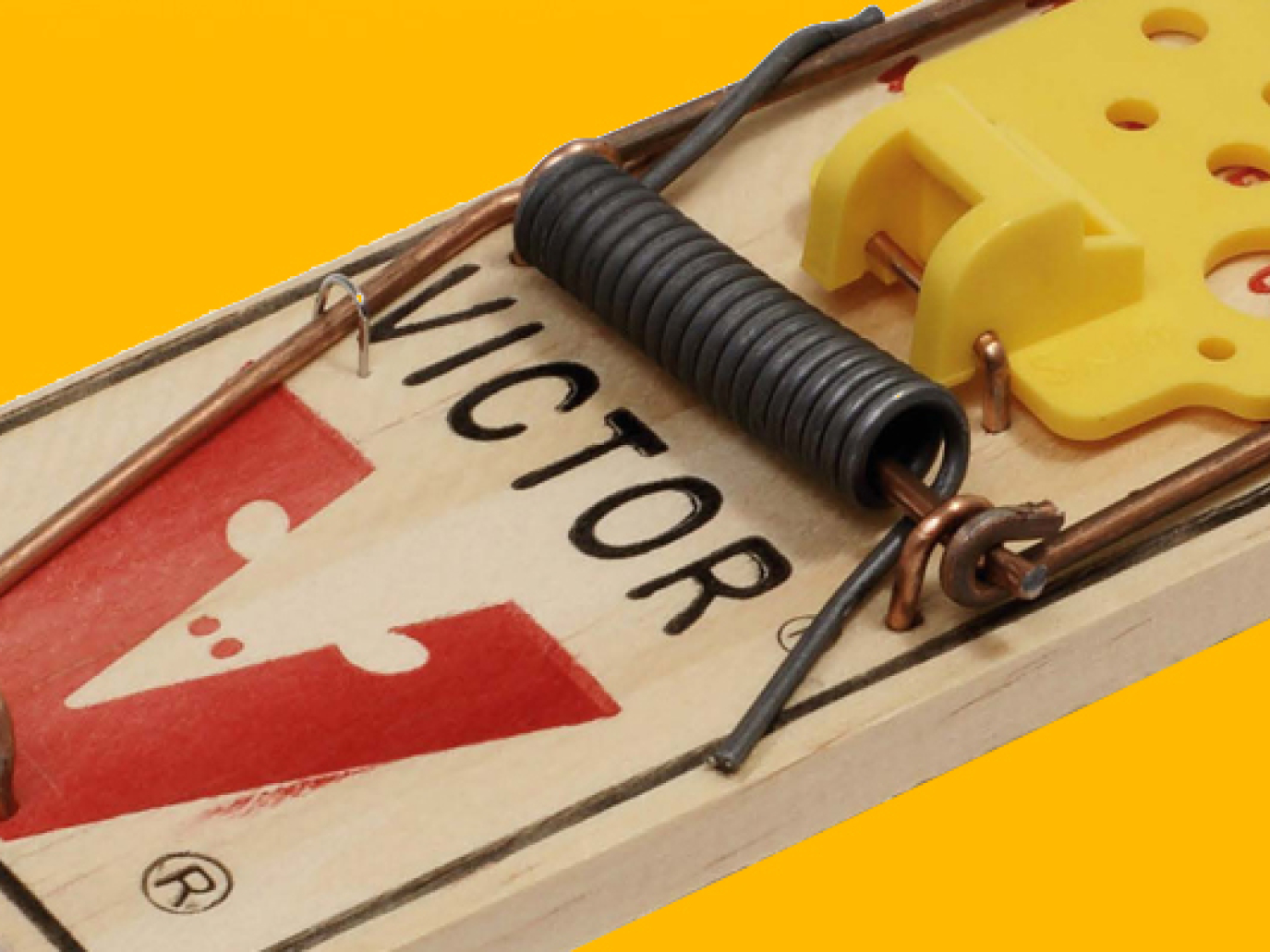 Unsustainability Trap