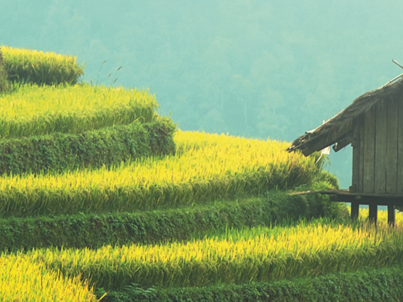 Thailand: A Very Biotech Bioeconomy