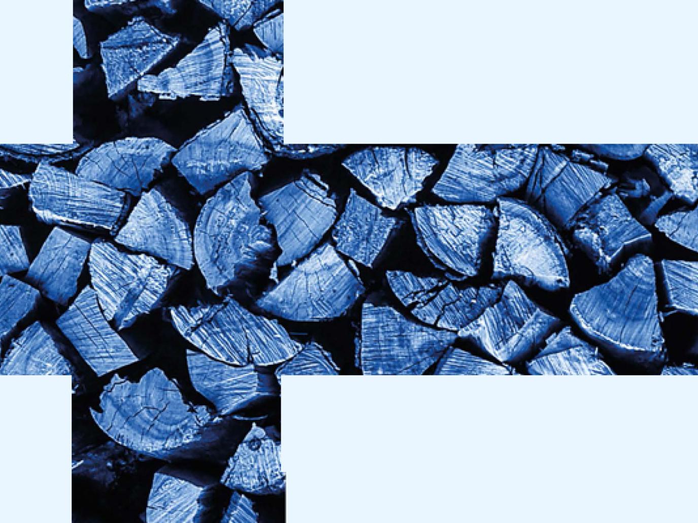 Il futuro parte dal legno