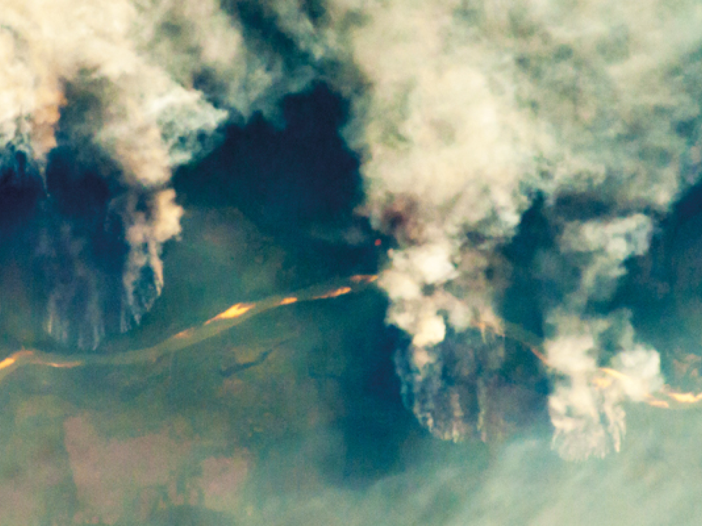 Profitti a breve termine per pochi: populismo e agribusiness in Brasile